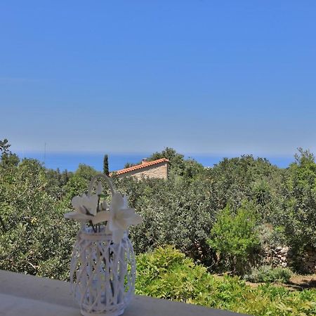 Villa Harmony, Steinvilla Prines  Bagian luar foto